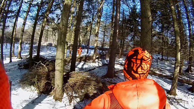 Rabbit Hunting PA Jan 30, 2016 7 Rabbits Killed