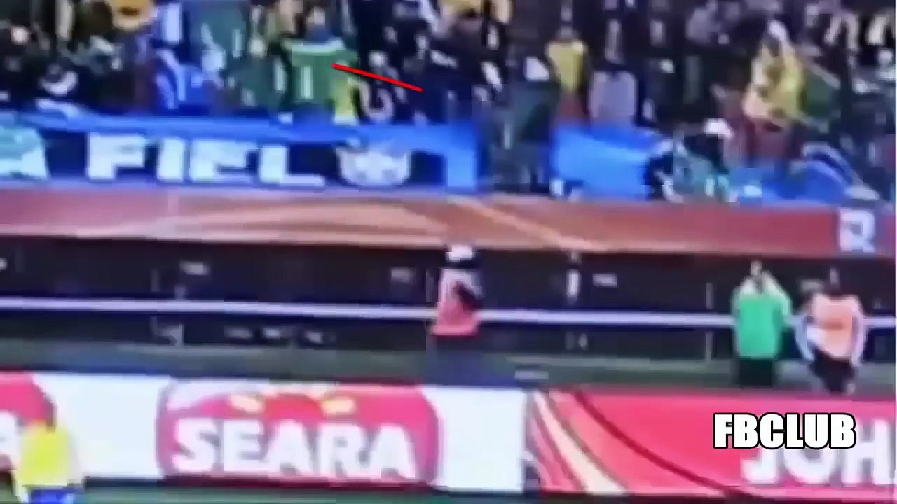 ฟุตบอลฮาๆ ความฮาจากกองเชียร์ข้างสนาม (บอกเลยโคตรฮา)