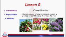 Vernalization & Reproduction in animals