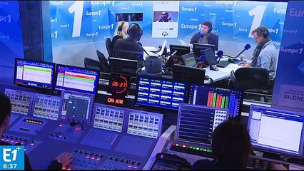 Vichy : un passionné redonne vie aux dinosaures