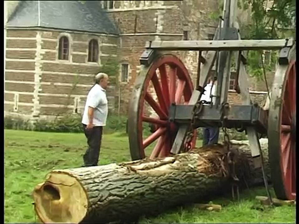 Petra - the strongest Belgian Draft Horse -