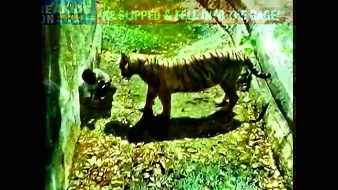 White Tiger Kills man in Delhi Zoo