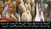 Aalo paanch rupay kilo Jati Umrah main milta hoga  Lahore and Islamabad citizens bashing Nawaz Sharif   | PNPNews.net