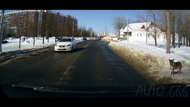 У них есть МОЗГ!!!