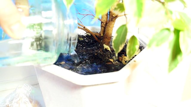 10 ЛАЙФХАКОВ, КОТОРЫЕ УПРОСТЯТ ВАШУ ЖИЗНЬ