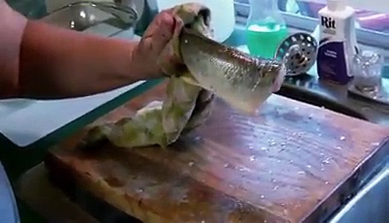 ‫لا إله إلا الله سيدنا محمد رسول الله‬