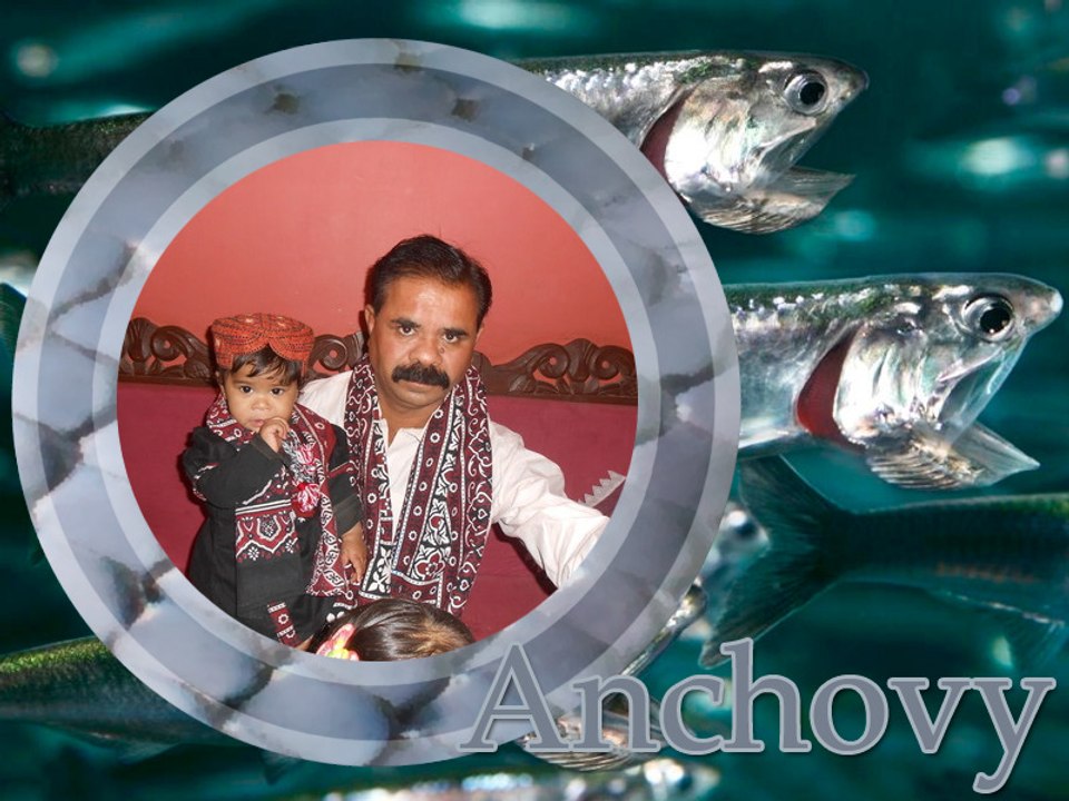 ProShow Slideshow
