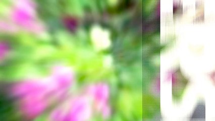 ความสำเร็จที่ยิ่งใหญ่ ต้องการ "อะไรที่แตกต่าง" Cr.จตุพล ชมภูนิช (อ.เชน)