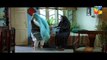 Gul E Rana Episode 10 Full HUM TV Drama 09 Jan 2016 - Video Dailymotion