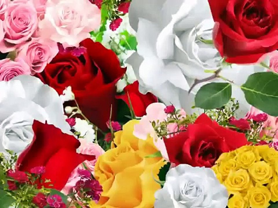 Exbackclub Get Him Back Forever System Buy