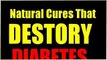 diabetes destroyer review -diabetes destroyer with free bonus