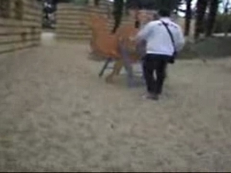 Arcachon2007