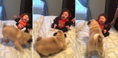 Ce bébé ne peut plus s'empêcher de rire quand ses chiens jouent avec lui