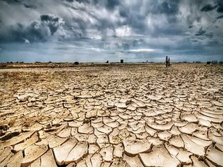 Survive Water Crisis