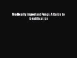 [PDF Download] Medically Important Fungi: A Guide to Identification [Read] Online