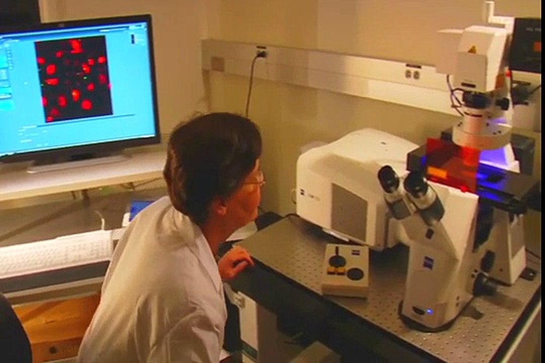 Outsmart Insomnia Review