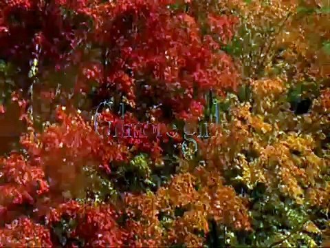 Le générique de la série Gilmore Girls