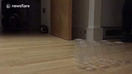 Slow-motion human tenpin bowling on a skateboard