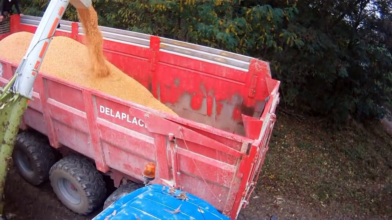 ETA VOET CASE IH 7088 et DOMINONI 8 rangs à la moisson du maïs en 2014