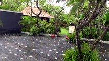 БАЛИ - ОКЕАН - ТЕРРИТОРИЯ ОТЕЛЯ МЕЛИА Melia Bali Villas & SPA Resort