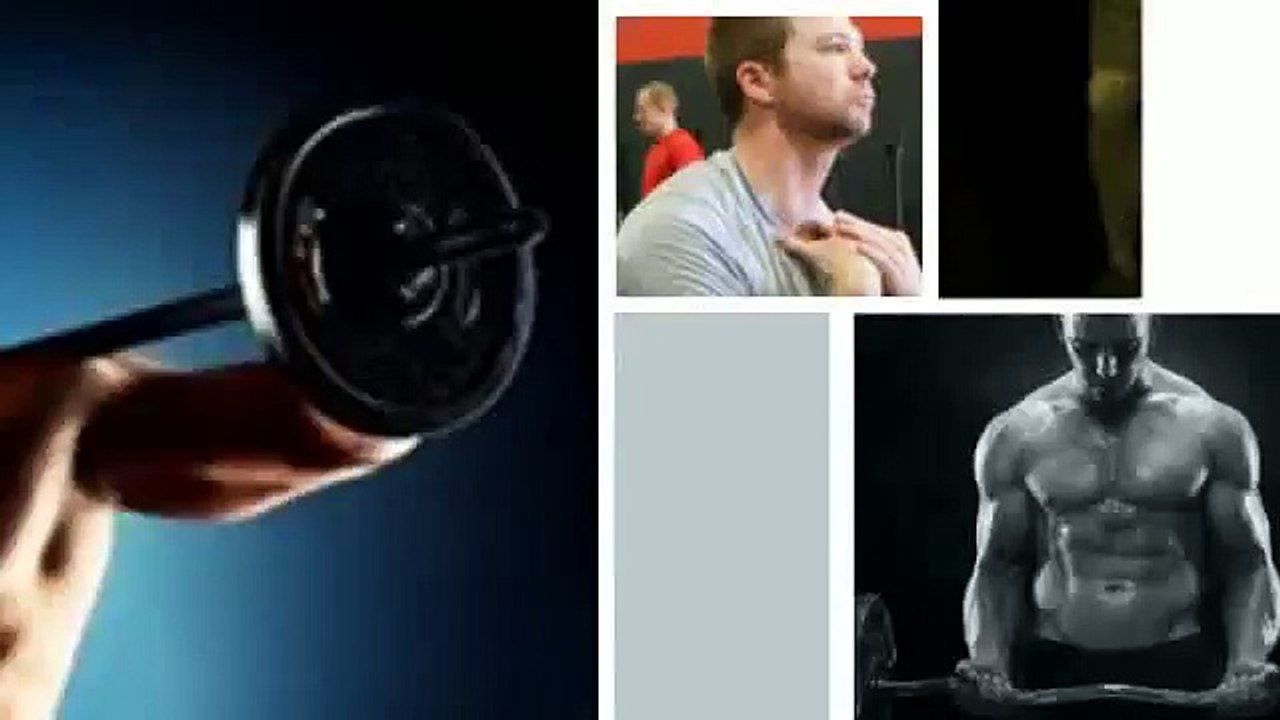 The high performance handbook pdf eric cressey + The high performance handbook reviews