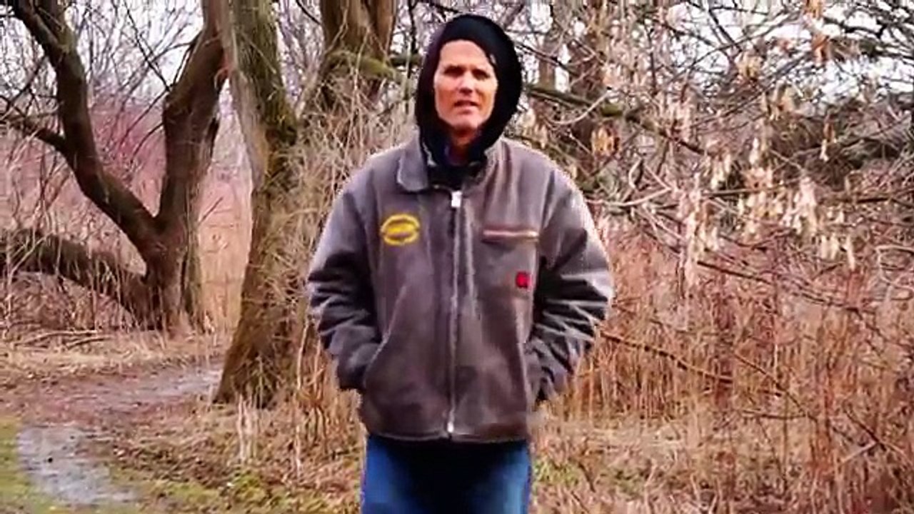 MACLAUGHLIN TRAILS