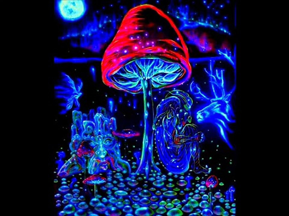 Metazone - I Mowed Mushrooms