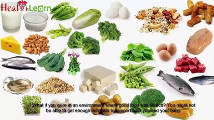 weight loss program review Ideal Body Blueprint