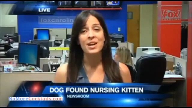 They Rescued This Dog From A Ravine, And You’ll NEVER Believe What She Was Hiding Down There.