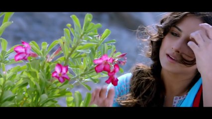 mughalali320 @gmail.com