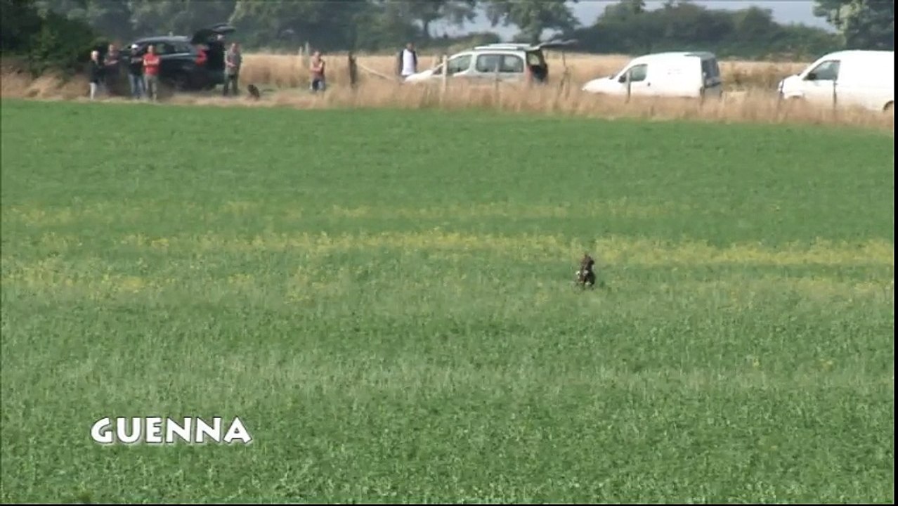Field-Guenna