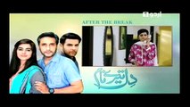 Dil Tere Naam Episode 6 Full Drama February 1, 2016
