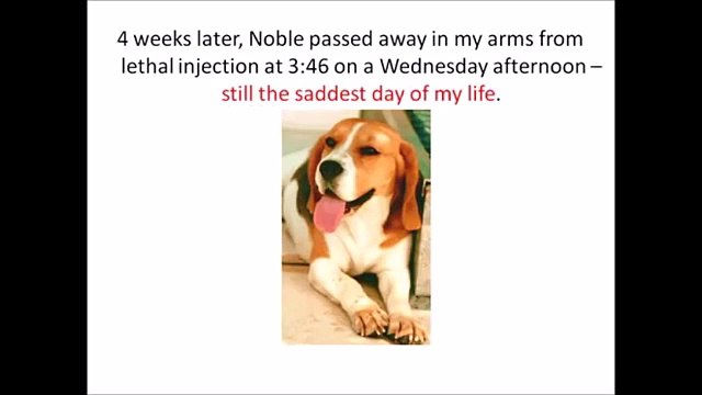 Dog Food Secrets Review - The Shocking Truth About Commercial Dog Food Revealed!