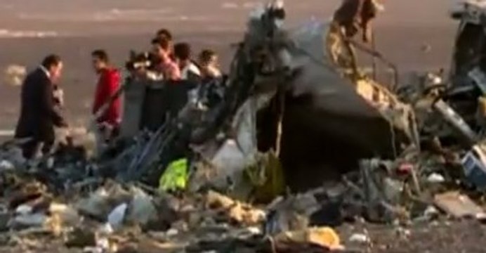 Турецкие «Серые волки» могут быть причастны к теракту А321