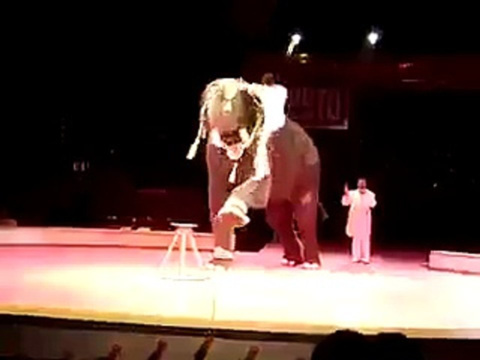 Funny Amazing Elephant Video