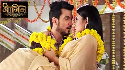 (Video) Shivanya Falls In Ritik's Arms - Romantic Scene | Naagin | Colors