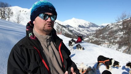 Les Ménuires - Découvrez l'activité des chiens de traineau