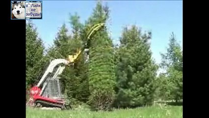 ПОСМОТРИТЕ ЧТО ДЕЛАЕТ ЭТОТ АГРЕГАТ С ДЕРЕВЬЯМИ