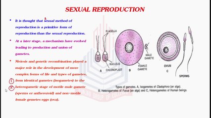 Sexual Reproduction