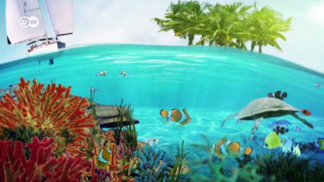 Cambodia: Dam threatens the Mekong's dolphins | Global 3000