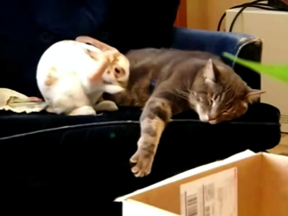 Умылся и завалился )))))))))))))