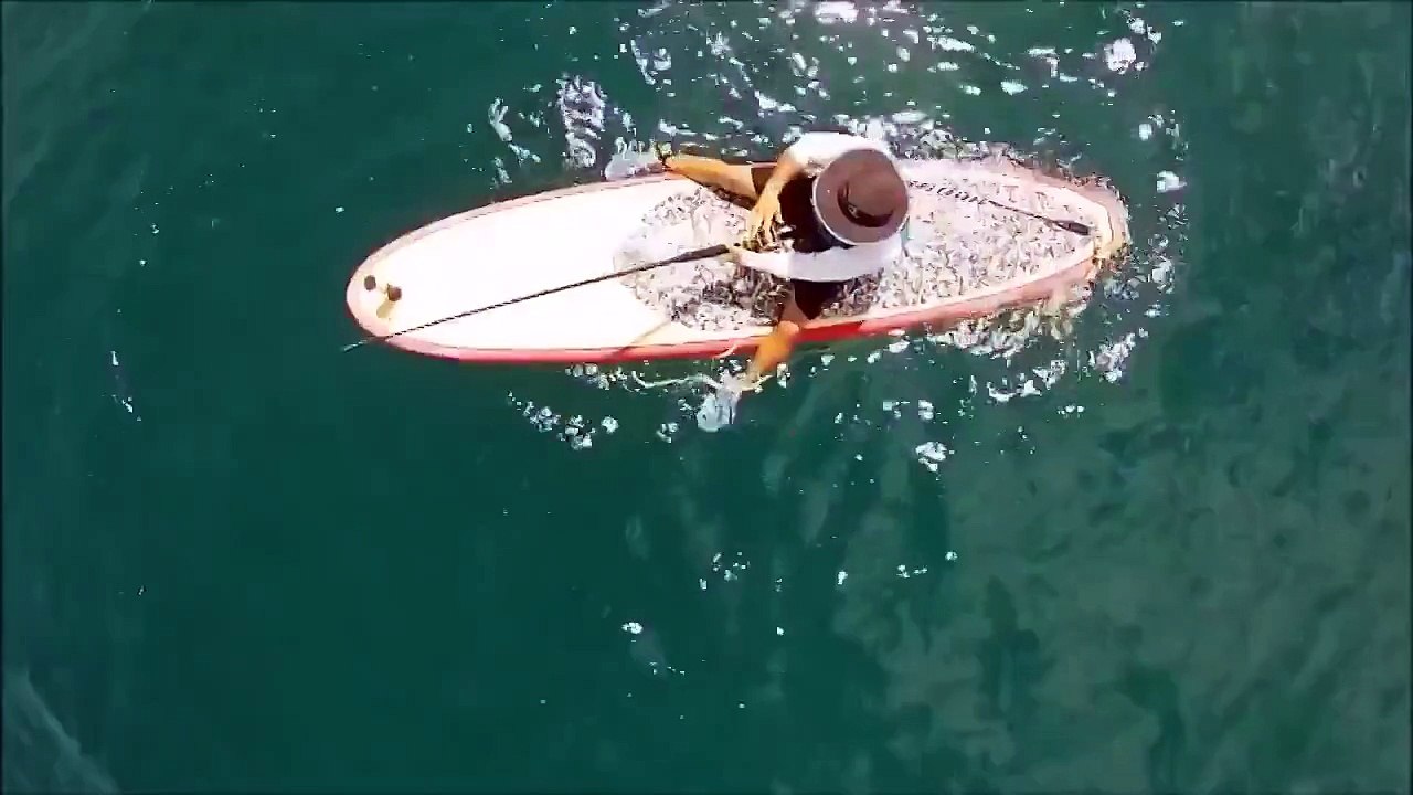 Вот это улов