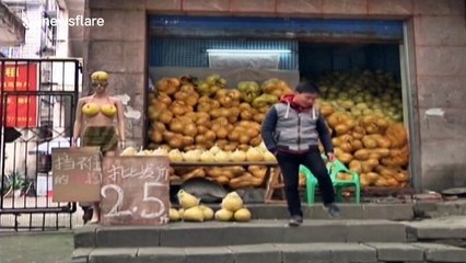 Man uses mannequin in bikini to sell grapefruit
