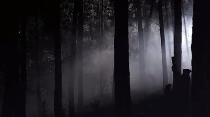 하나카지노◈KOP77,COM←스보벳 주소↓바카라주소