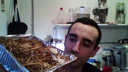 Comment vivre plusieurs mois sur Mars grâce à de l'eau verdâtre ?