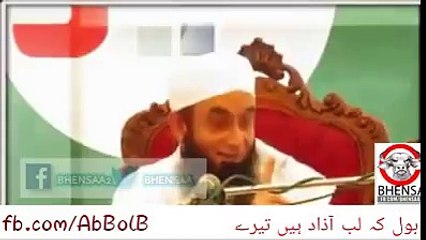 Maulana Tariq Jameel Statement About Taliban