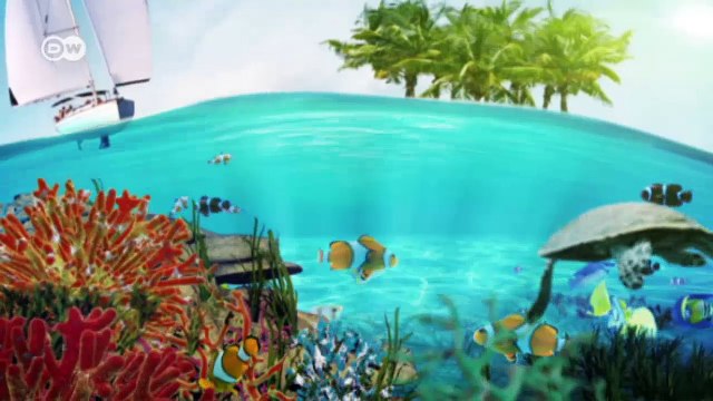 Kambodscha: Staudamm bedroht Mekong-Delfin | Global 3000