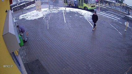 Toujours séparer 2 chiens !