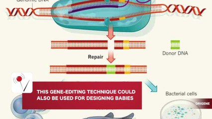 One Step Closer to Designer Babies