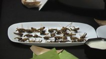 Des insectes au menu du bal des Sciences de Vienne
